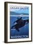 Ocean Shores, WA - Orca and Calf-Lantern Press-Framed Art Print