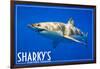 Ocean Shores, Washington - Great White Shark-Lantern Press-Framed Art Print