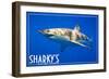 Ocean Shores, Washington - Great White Shark-Lantern Press-Framed Art Print