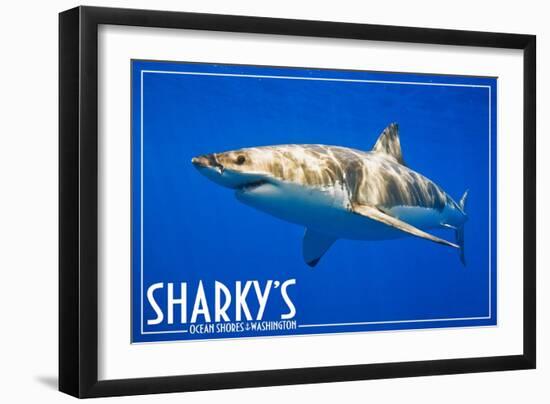 Ocean Shores, Washington - Great White Shark-Lantern Press-Framed Art Print