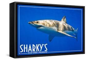 Ocean Shores, Washington - Great White Shark-Lantern Press-Framed Stretched Canvas