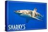Ocean Shores, Washington - Great White Shark-Lantern Press-Stretched Canvas