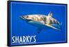 Ocean Shores, Washington - Great White Shark-Lantern Press-Framed Stretched Canvas