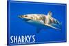 Ocean Shores, Washington - Great White Shark-Lantern Press-Stretched Canvas