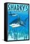 Ocean Shores, Washington - Sharks-Lantern Press-Framed Stretched Canvas
