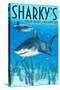 Ocean Shores, Washington - Sharks-Lantern Press-Stretched Canvas