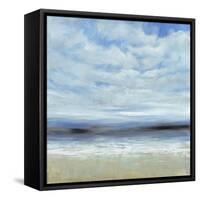 Ocean Spray Scene-Tim O'toole-Framed Stretched Canvas