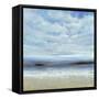 Ocean Spray Scene-Tim O'toole-Framed Stretched Canvas