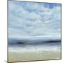 Ocean Spray Scene-Tim O'toole-Mounted Giclee Print