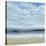 Ocean Spray Scene-Tim O'toole-Stretched Canvas