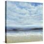 Ocean Spray Scene-Tim O'toole-Stretched Canvas