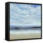 Ocean Spray Scene-Tim O'toole-Framed Stretched Canvas