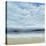 Ocean Spray Scene-Tim O'toole-Stretched Canvas