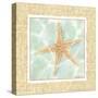 Ocean Starfish-Chariklia Zarris-Stretched Canvas