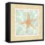 Ocean Starfish-Chariklia Zarris-Framed Stretched Canvas