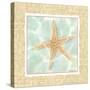 Ocean Starfish-Chariklia Zarris-Stretched Canvas