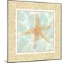 Ocean Starfish-Chariklia Zarris-Mounted Art Print