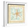 Ocean Starfish-Chariklia Zarris-Framed Art Print