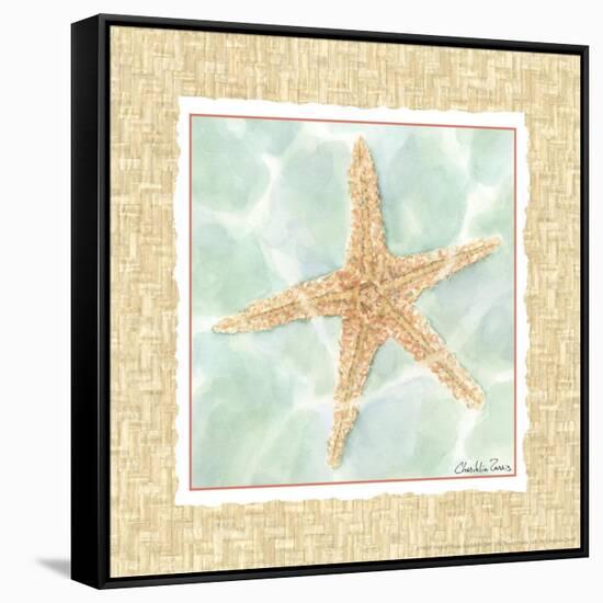 Ocean Starfish-Chariklia Zarris-Framed Stretched Canvas