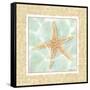 Ocean Starfish-Chariklia Zarris-Framed Stretched Canvas