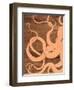 Ocean Style Octipus-Hart Hart-Framed Giclee Print