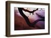 Ocean Sunset from Beach-W. Perry Conway-Framed Photographic Print