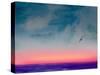 Ocean Sunset Watercolor I-Hallie Clausen-Stretched Canvas