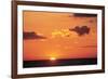 Ocean Sunset-null-Framed Art Print