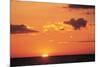 Ocean Sunset-null-Mounted Art Print