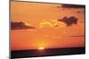 Ocean Sunset-null-Mounted Art Print