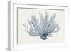 Ocean Sway-Hilary Armstrong-Framed Giclee Print