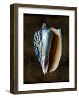 Ocean Treasure I-Caroline Kelly-Framed Art Print