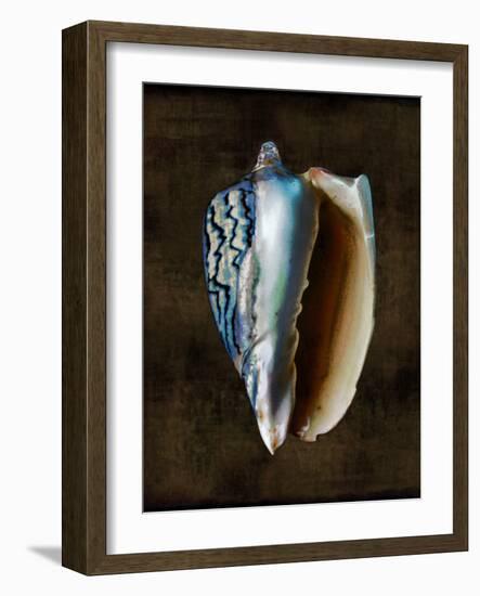 Ocean Treasure I-Caroline Kelly-Framed Art Print