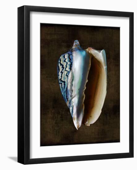 Ocean Treasure I-Caroline Kelly-Framed Art Print