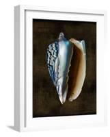 Ocean Treasure I-Caroline Kelly-Framed Art Print