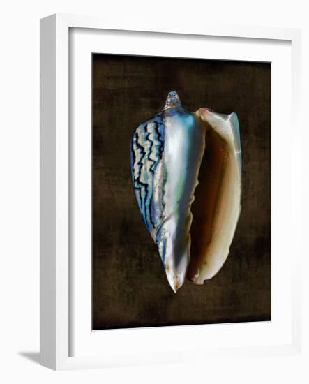 Ocean Treasure I-Caroline Kelly-Framed Art Print