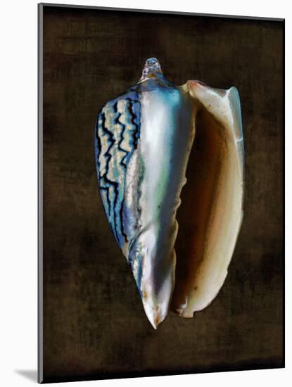 Ocean Treasure I-Caroline Kelly-Mounted Art Print