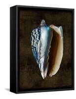 Ocean Treasure I-Caroline Kelly-Framed Stretched Canvas