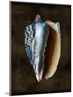 Ocean Treasure I-Caroline Kelly-Mounted Art Print