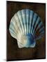 Ocean Treasure II-Caroline Kelly-Mounted Art Print