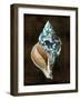 Ocean Treasure III-Caroline Kelly-Framed Art Print
