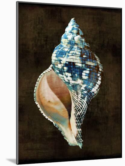 Ocean Treasure III-Caroline Kelly-Mounted Art Print