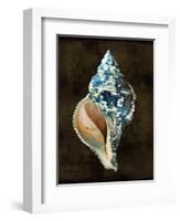 Ocean Treasure III-Caroline Kelly-Framed Art Print