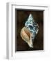 Ocean Treasure III-Caroline Kelly-Framed Art Print