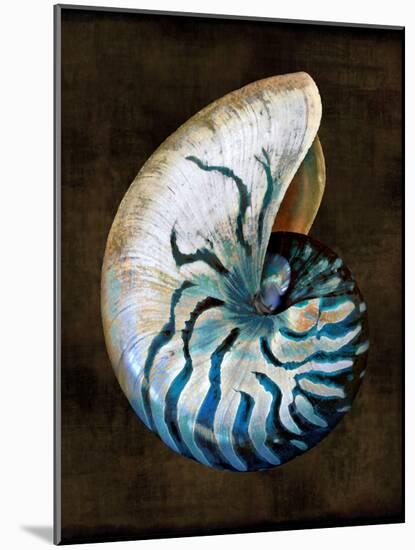 Ocean Treasure IV-Caroline Kelly-Mounted Art Print