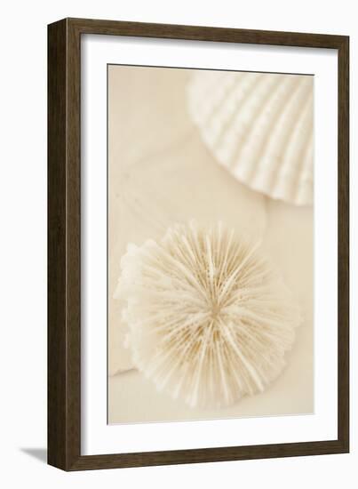 Ocean Treasures I-Karyn Millet-Framed Photographic Print