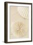 Ocean Treasures I-Karyn Millet-Framed Photographic Print