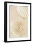 Ocean Treasures I-Karyn Millet-Framed Photographic Print