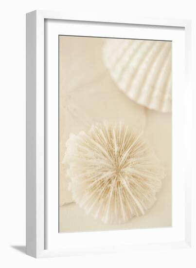 Ocean Treasures I-Karyn Millet-Framed Photographic Print