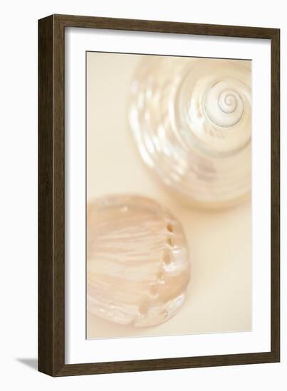 Ocean Treasures II-Karyn Millet-Framed Photographic Print